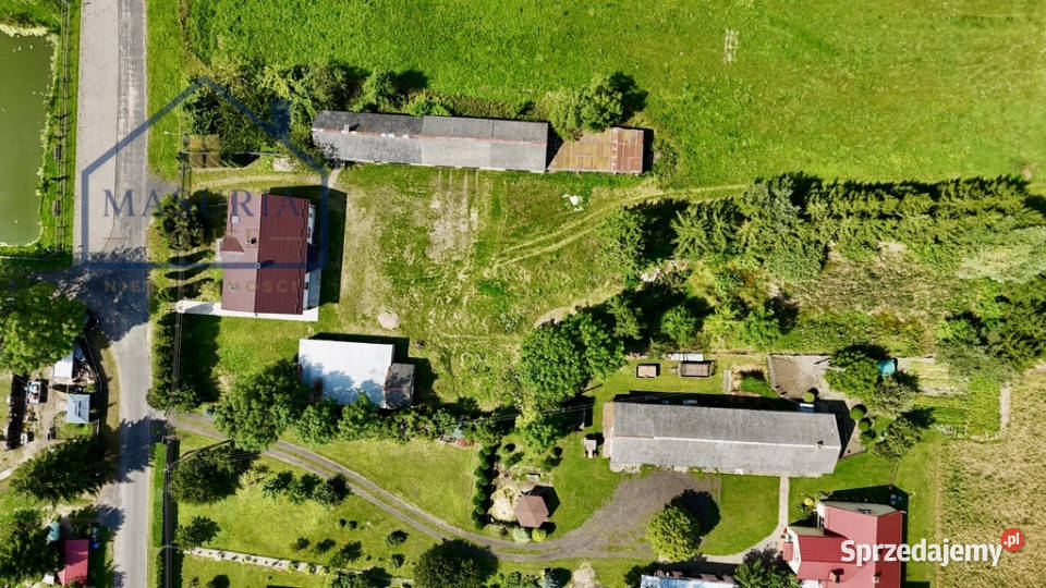 Dom 6 pokoi budynki gospodarcze 6368 m2 Liczba pokoi 6 Sprzedaż Jędrychowo sprzedam