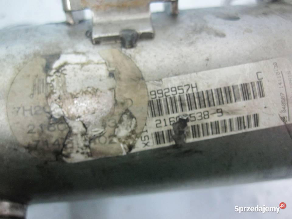 DISCOVERY 08r 27 TDV6 276DT 190 chłodniczka Kielce