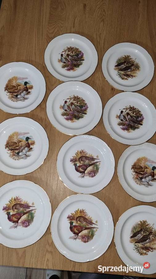 Talerze myśliwskie dzikie ptactwo Porcelana wielkopolskie Wola Podłężna
