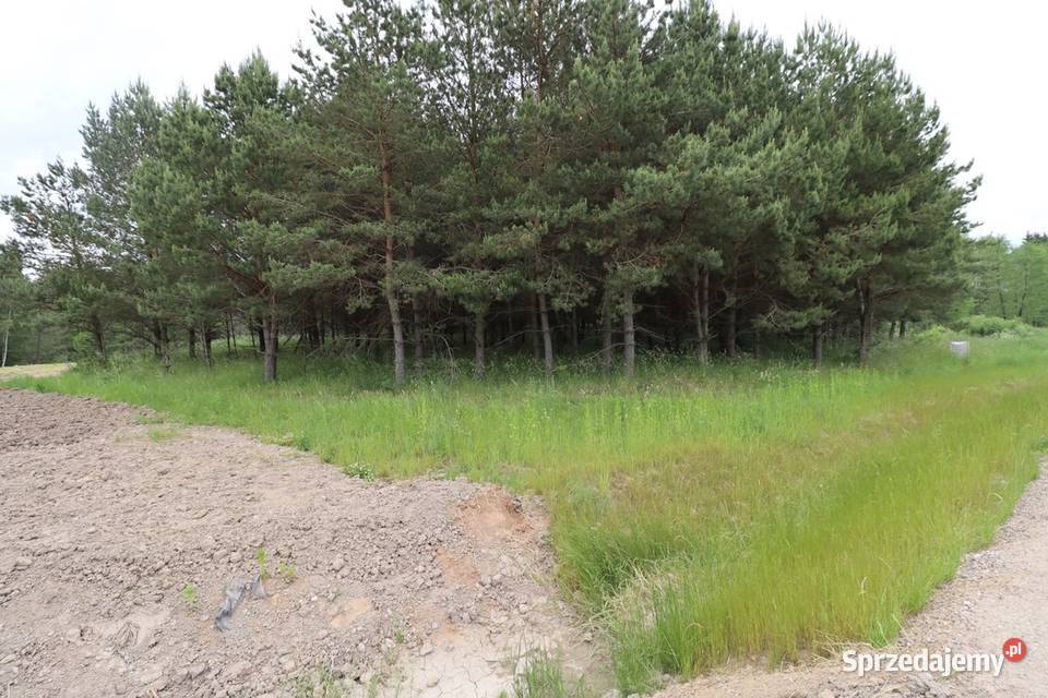 Działka o pow 5852 m2 drodze Via Baltica 11zł/m2 warmińsko-mazurskie Kalinowo