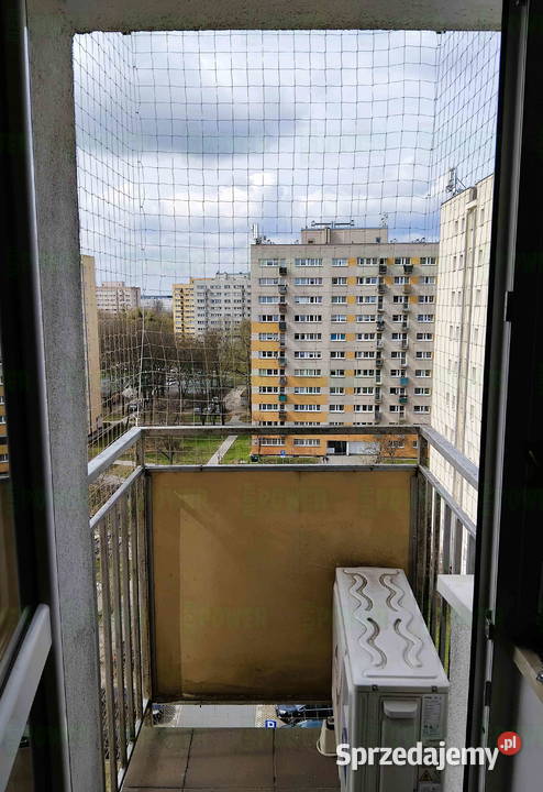 Założenie siatki na balkon kota Warszawa Siatka mazowieckie usługi dla zwierząt