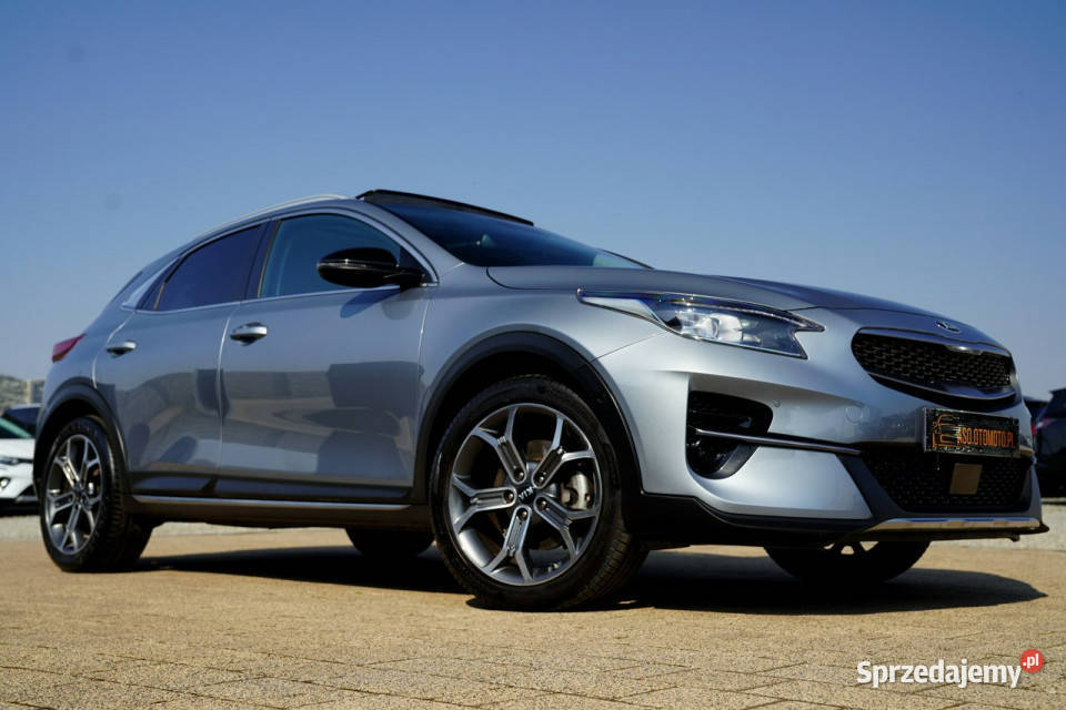 Kia XCeed PLATINUM skóra FUL LED nawi KAMERY XCeed opolskie Otmuchów
