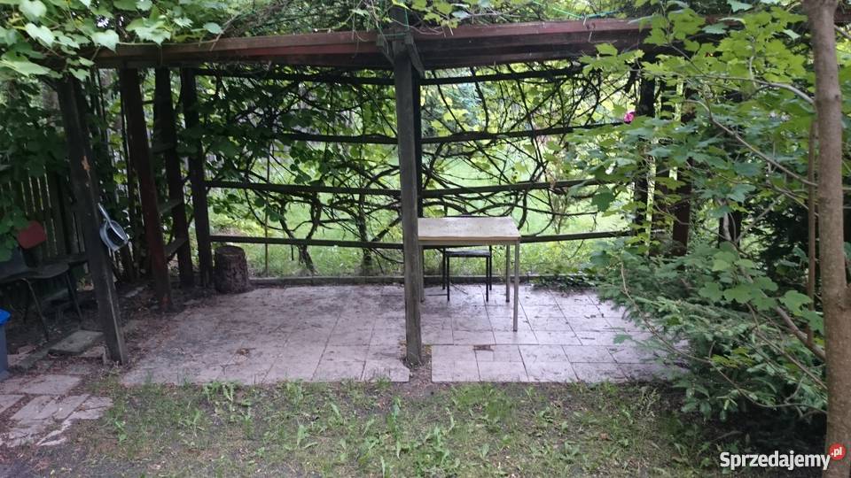 Ogródek działkowy ROD Pilczyce Hutnicza Wrocław 5000zł/m2