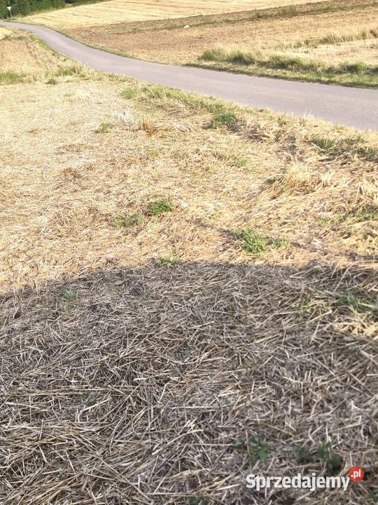 NA Sprzedaż DZIAŁKA ROLNA W ŁYCZAKOWIE Łyczaków