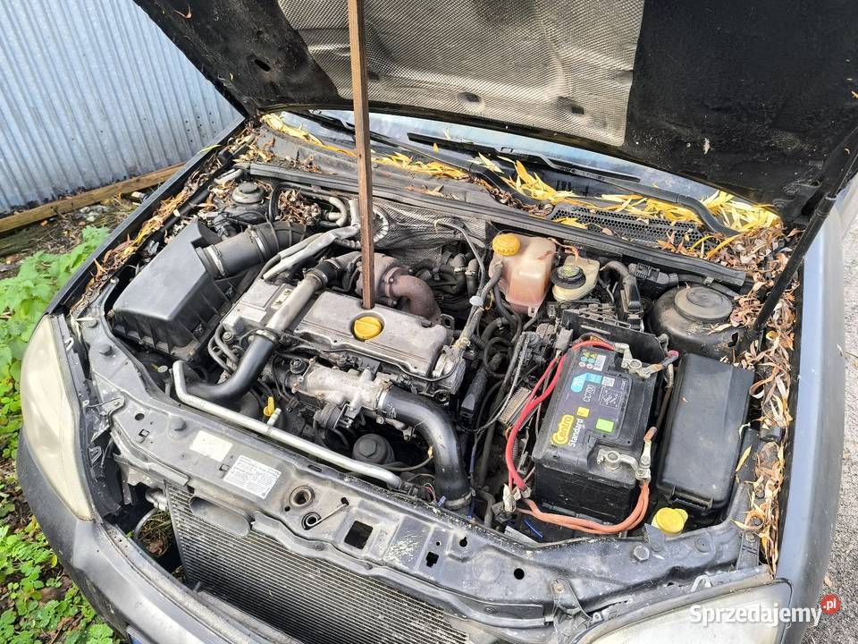 Opel Signum 22 DTI automat odpala jeździ skręca nieuszkodzony Signum Białystok