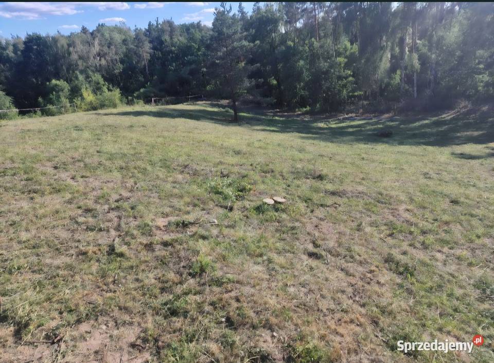 Koszenie trawy karczowanie zarośli wycinka drzew lubuskie Sulęcin