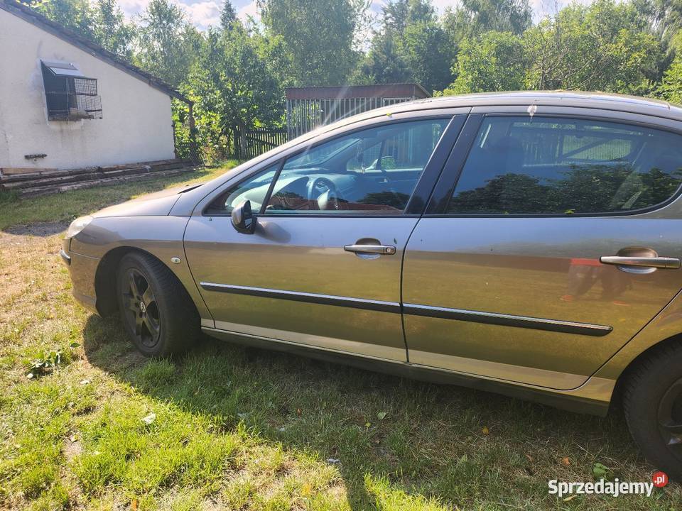 Peugeot 407 20 HDI 2005 opolskie Grodziec