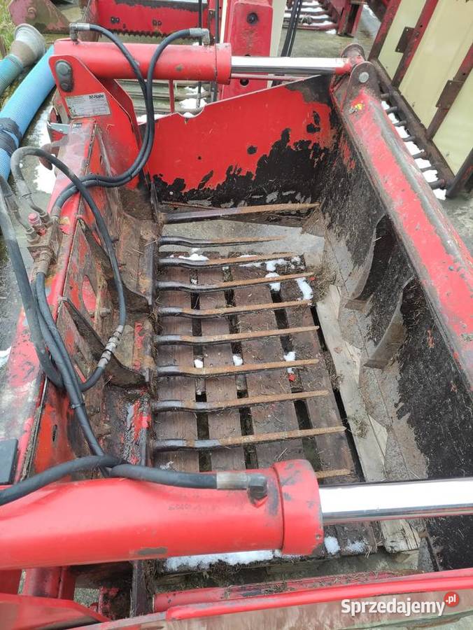 Wycinak szczękowy pirania Mchale nieuszkodzony Pozostałe Czyżew