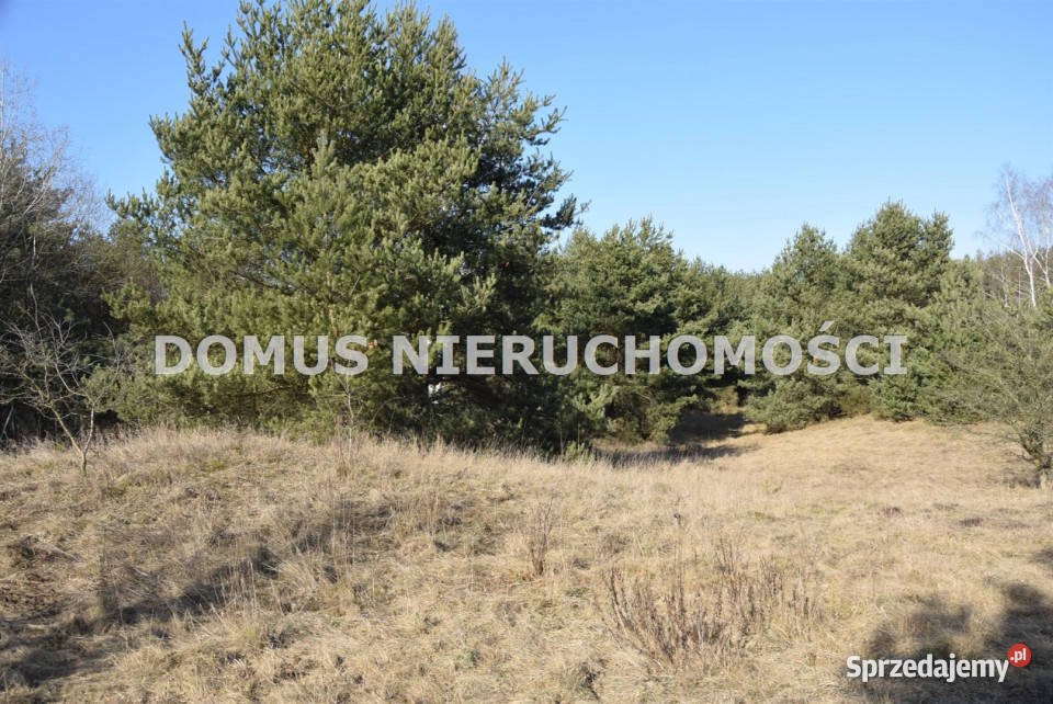 Grunt sprzedam Tworzyjanki 8000m2