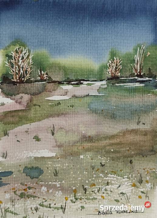 Akwarela Akwarelka Obraz pt Granatowa Cisza 135 Malarstwo Opole