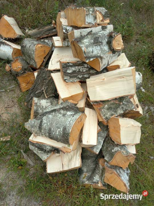 Drewno opałowe sosna brzoza kujawsko-pomorskie