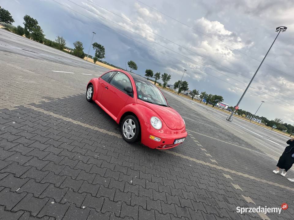 beetle dolnośląskie Pieńsk