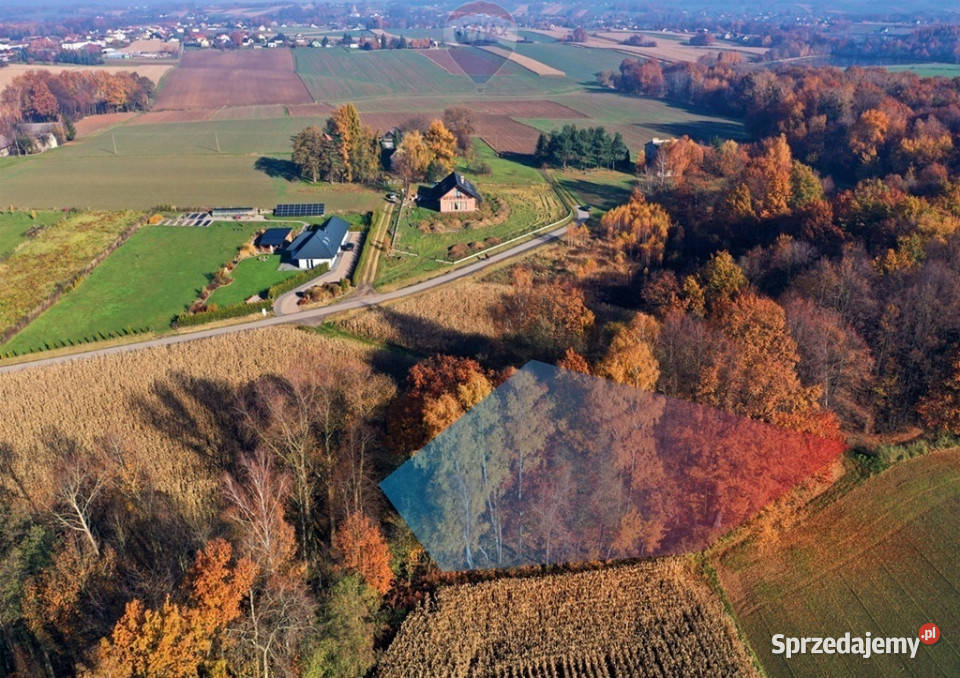 Bajkowa Działka w pięknym otoczeniu Sprzedaż Osiek
