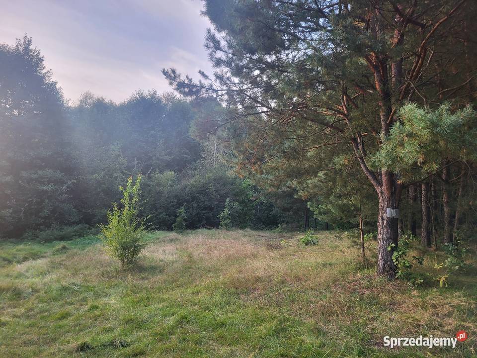 Działka rekreacyjna idealna pod budowę domków 31000m2 Nieruchomości Przyłęk