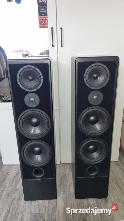 Kolumny podłogowe Canton Ergo 91 2x300Wat łódzkie Warta