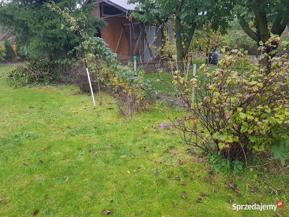 Działka rod w centrum miasta mazowieckie Sochaczew