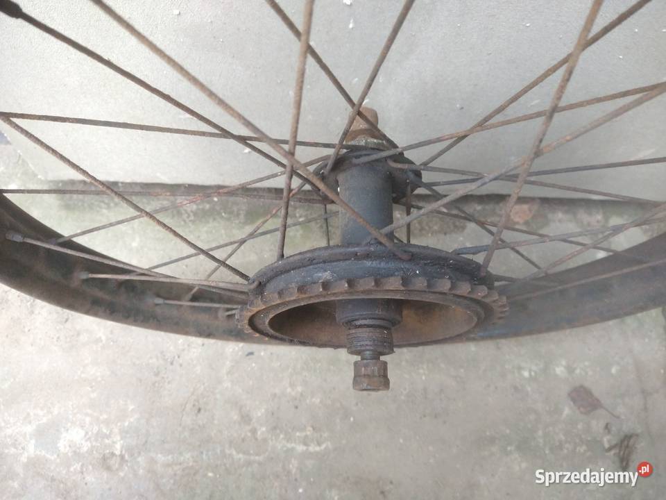 SHL m04 koło kieleckie