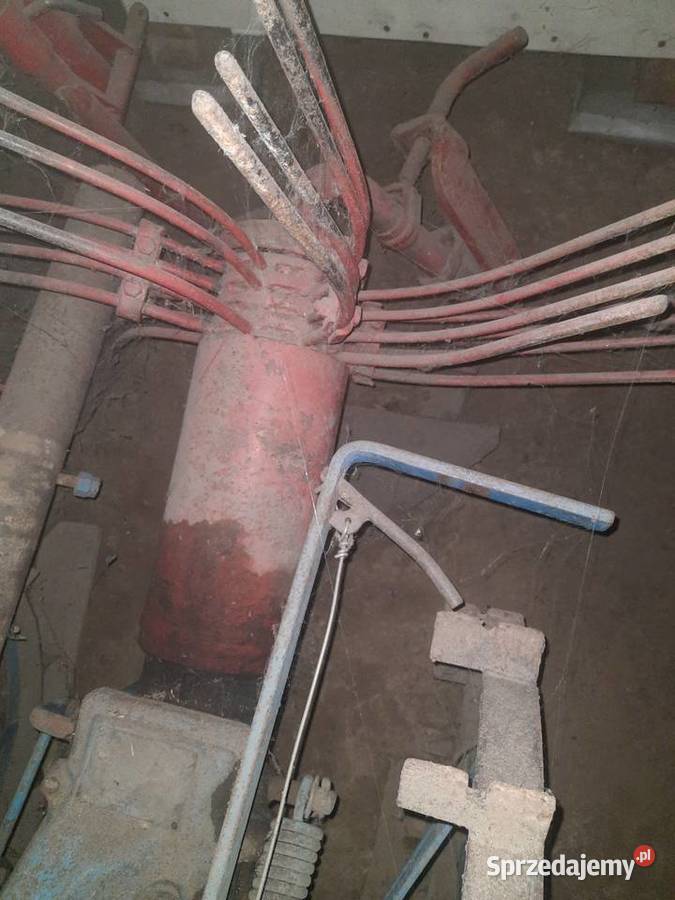 Kopaczka do ziemniaków nieuszkodzony Rączyna