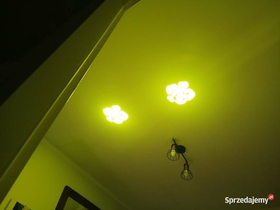 Głowy ruchome nowe Inowrocław