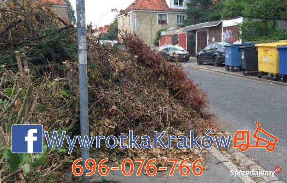 WYWÓZ liści gałęzi krzewów trawy pni korzeni Modlniczka
