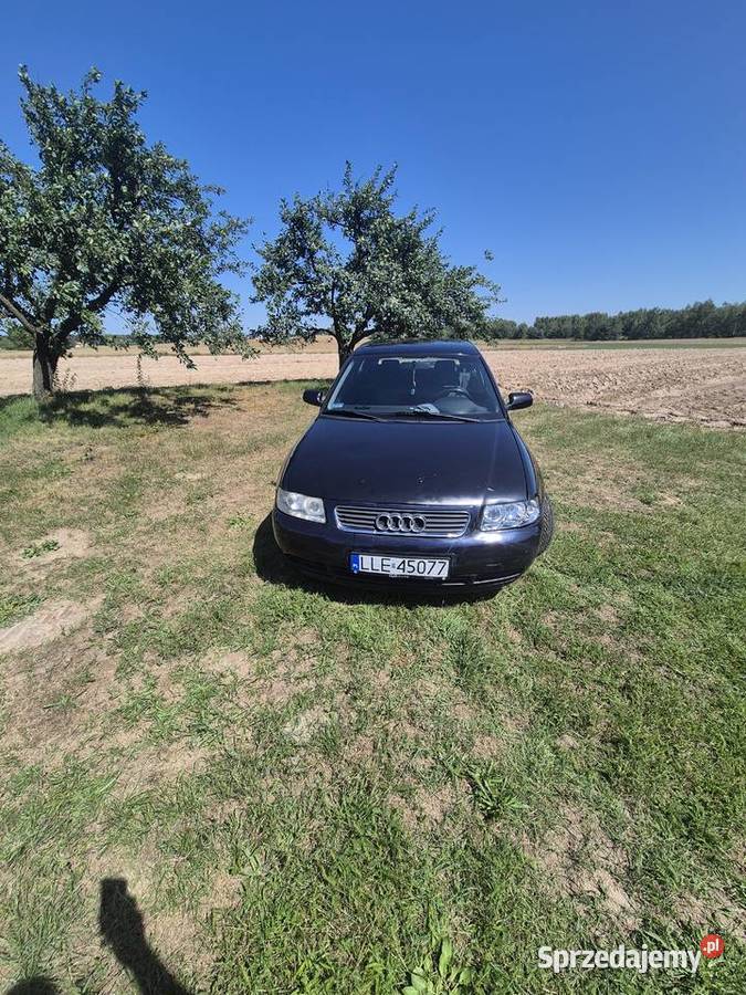 Audi a3 8l 16 benzyna A3 Jawidz