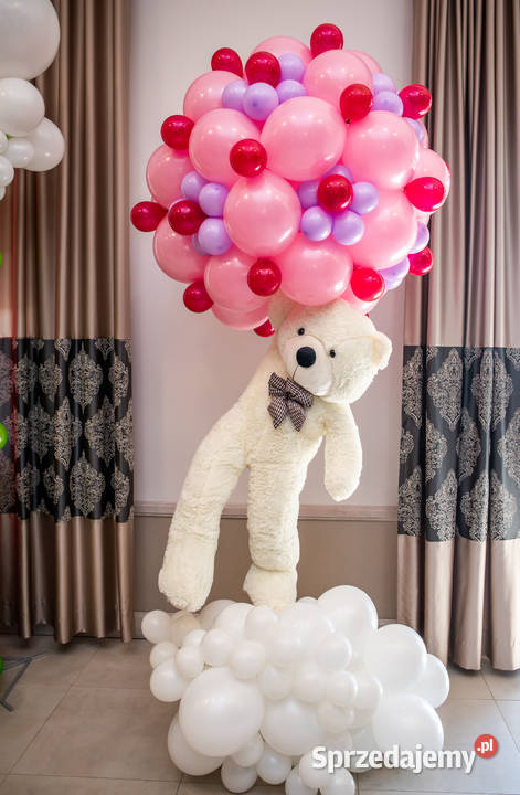 Ścianki do zdjęć dekoracja na kole ścianka Atrakcje i pokazy Katowice