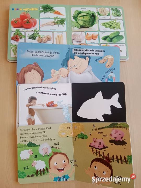 Książeczki zestaw sztywnych wielkopolskie Poznań