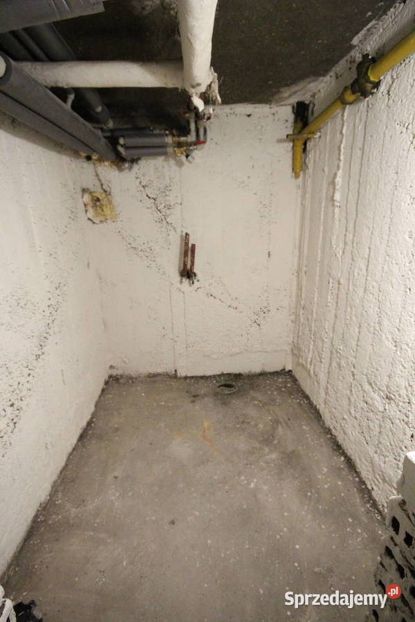 2pok 37met Ołowianej ROZKŁADBALKONPIWNICA Liczba pokoi 2 Wrocław