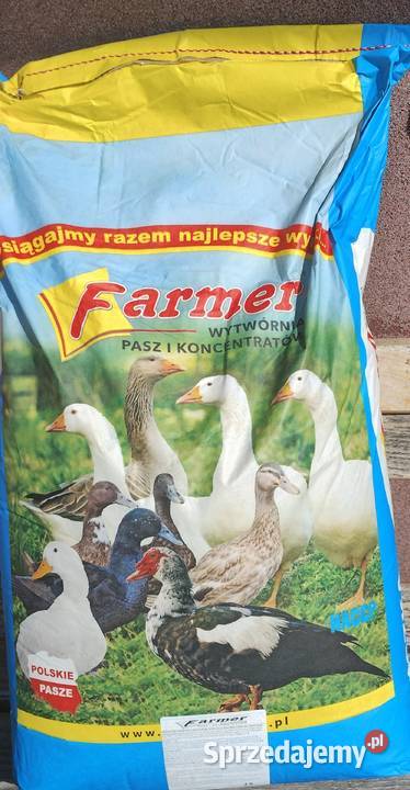 Pasza kur gęsi gołębikaczek mazowieckie Ostrołęka