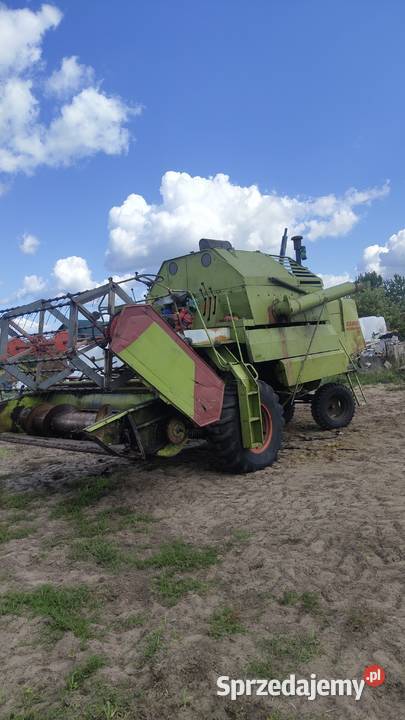 Claas Mercator 50 Krzywica