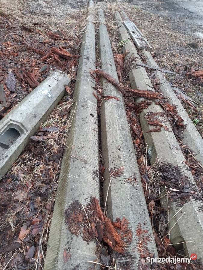 Słup oświetleniowy uliczny betonowy Słupki oświetleniowe Łęczna sprzedam