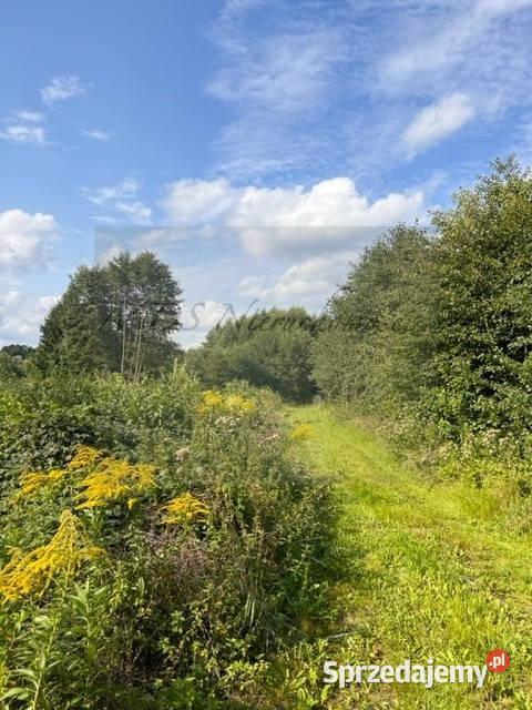 działka Bugiem plaża Cupel Sprzedaż Kania Nowa