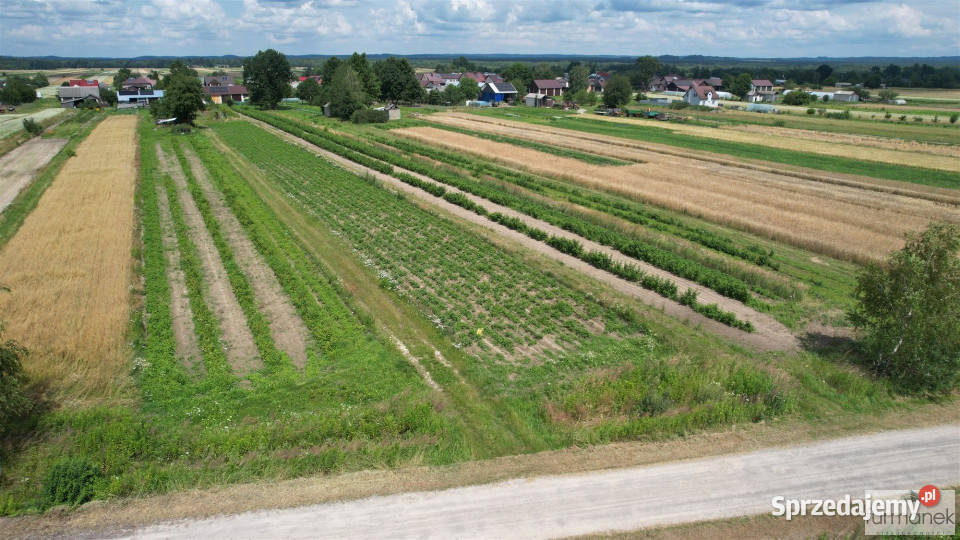 Działka Aleksandrów 2900m2 223m