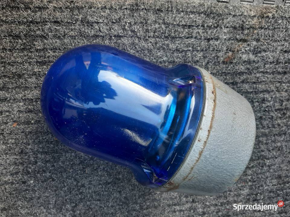 Kogut niebieski z PRLu Miłków