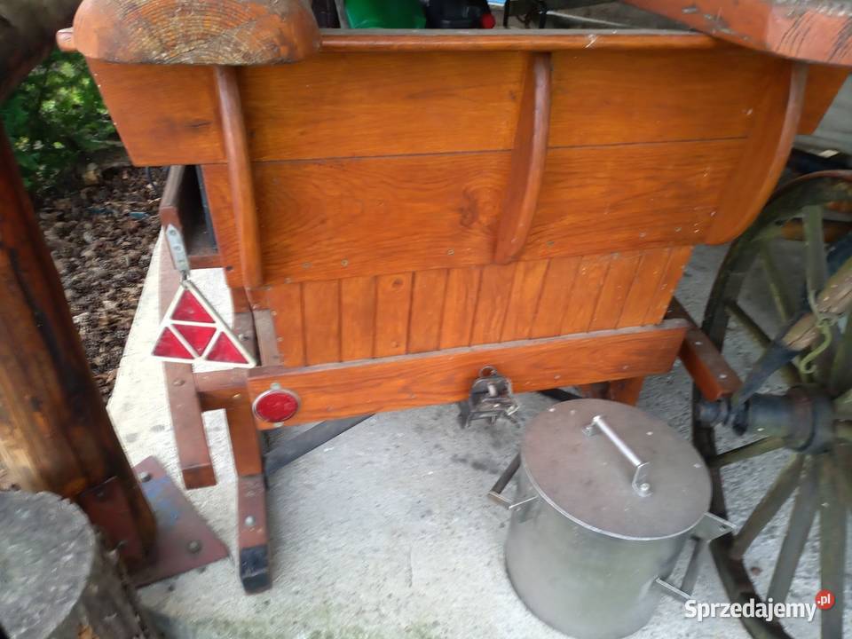 Wóz konny sanie bryczka Zwierzęta małopolskie Pagorzyna