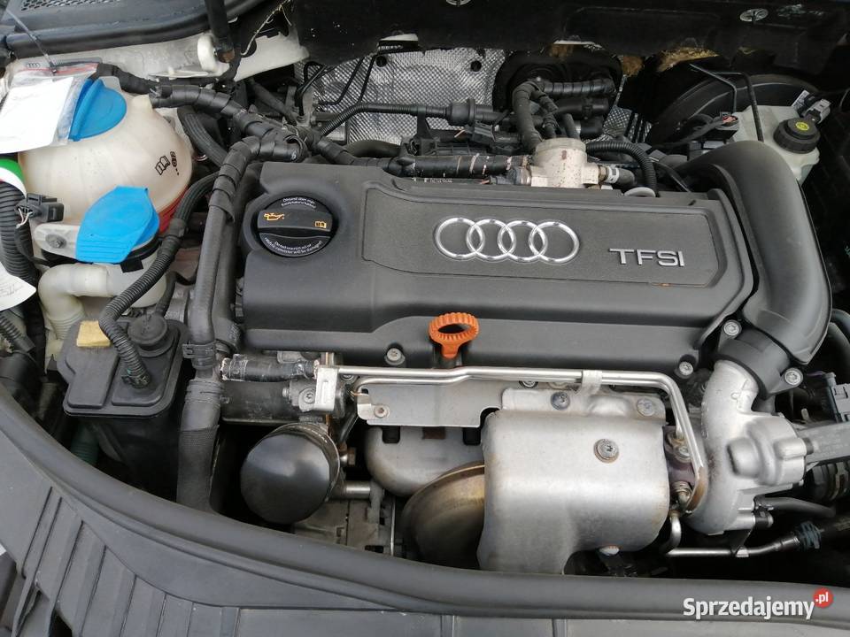 audi Łódź