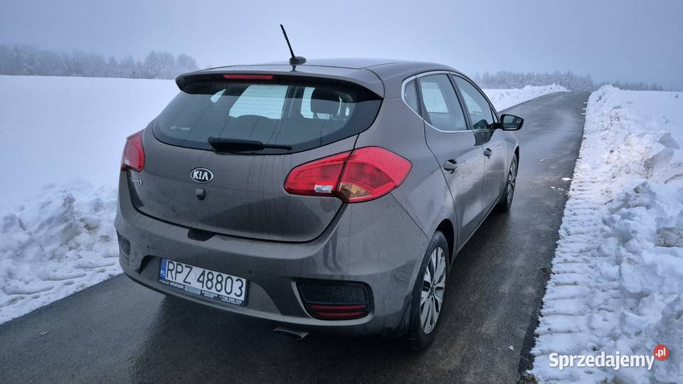 Kia Ceed 16 benzyna bezwypadkowy salon polska immobilizer Cee'd podkarpackie Jawornik Polski