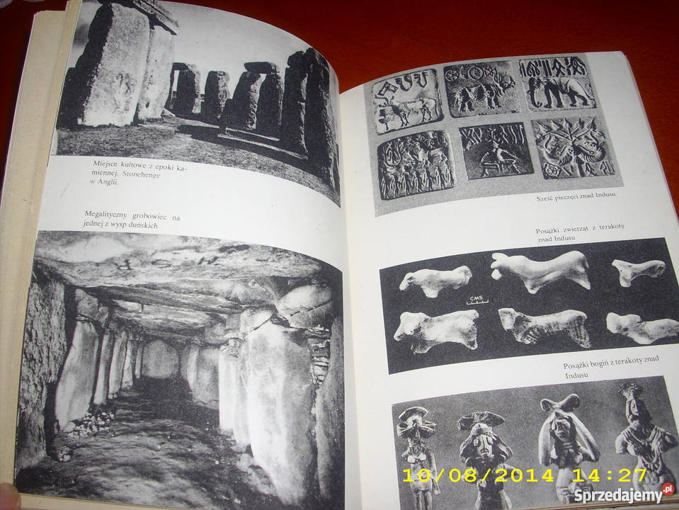 Rumaki Lizypa Z Kosidowski Goleniów