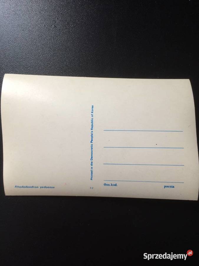 277 Pocztówki Trójwymiarowe 2 Szczecin