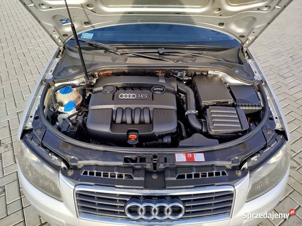 A3 8p 16 Benzyna 2005 zadbany 250 A3 Samochody osobowe Świdnik