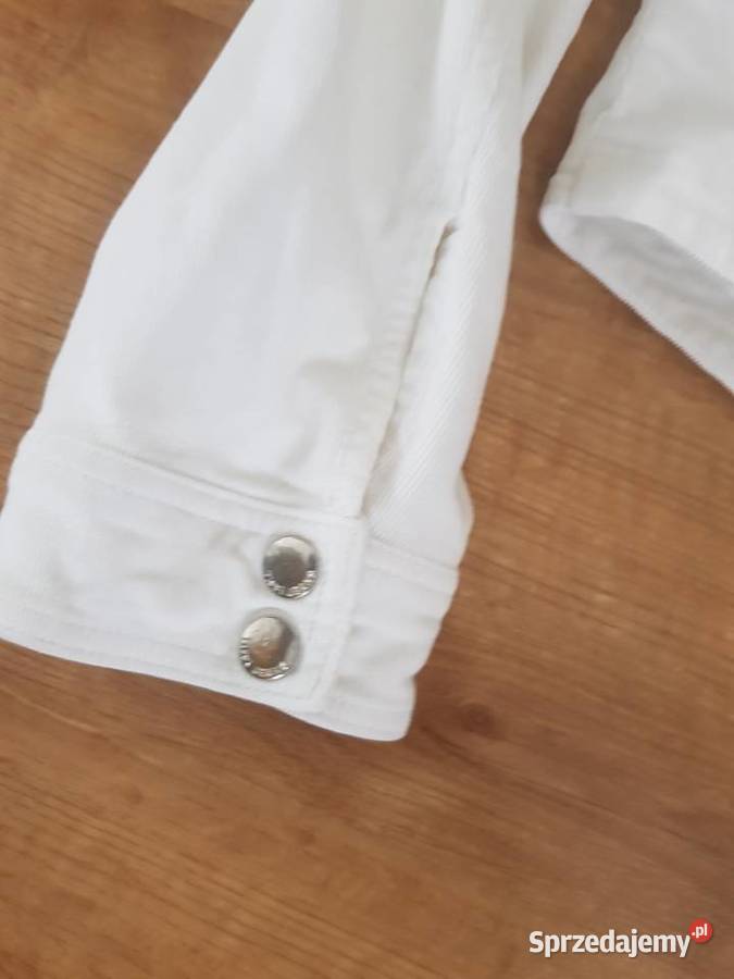 Kurteczka sztruksowa Rybnik