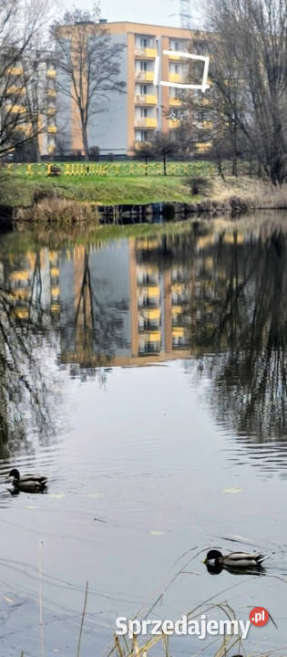 Sprzedam mieszkanie 2pokojowe Piętro 3