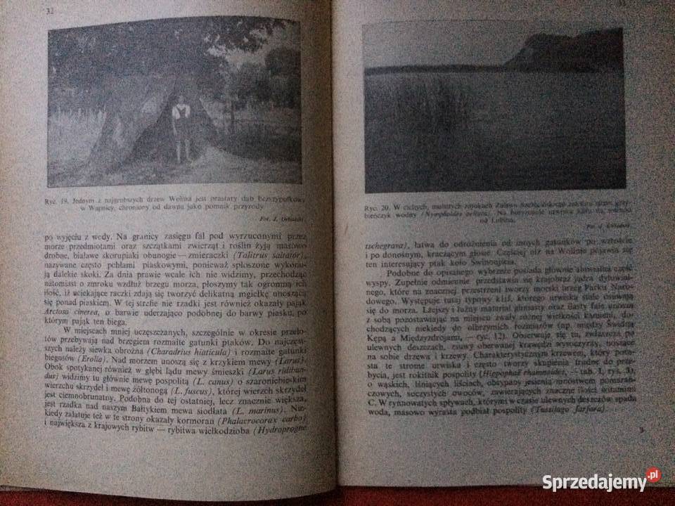 737 Park Narodowy Na Wyspie Wolin Szczecin