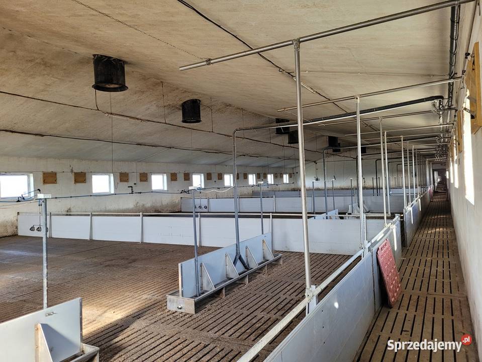 Syndyk sprzeda gospodarstwo rolne i maszyny Sprzedaż Raków sprzedam
