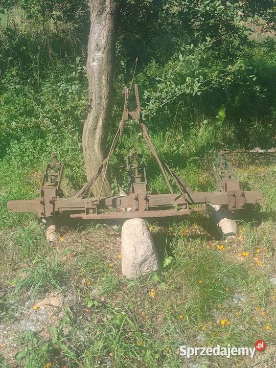 Sprzedam sadzarkę do ziemniaków i radło kujawsko-pomorskie