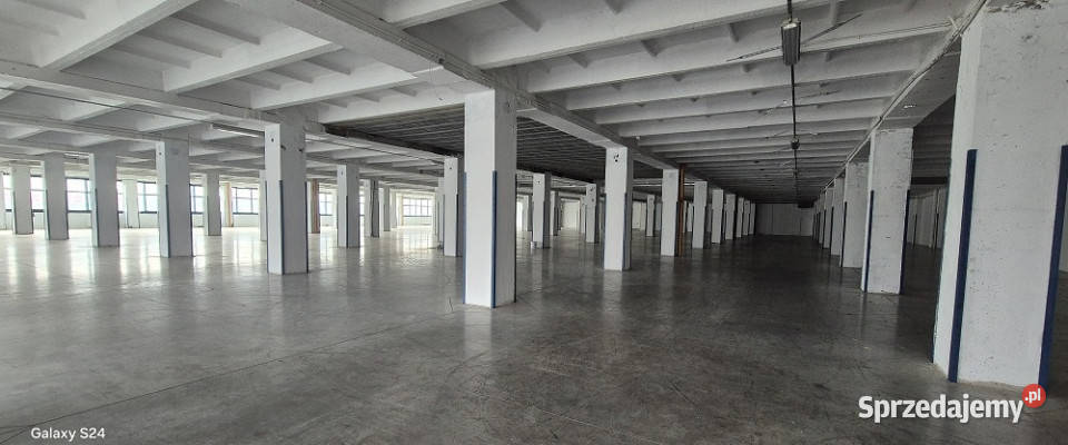 hala magazynowo produkcyjna Łódź