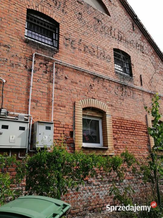 12 udziału w lokalu niemieszkalnym Syndyka Prabuty