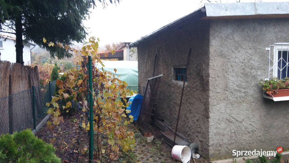 Działka ROD Złgotowska II z altaną Poznań