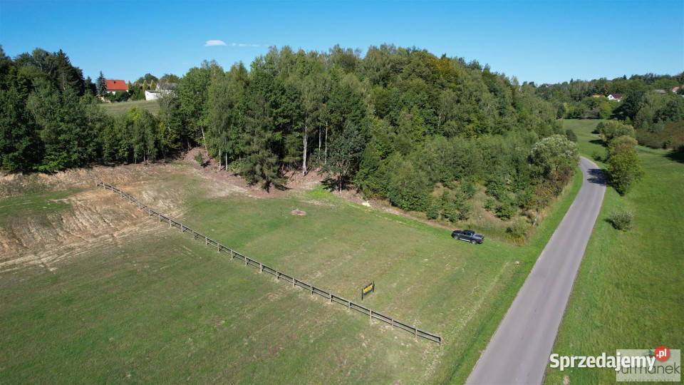 sprzedaży działki TeodorówkaKolonia 4182m2 asfalt Sprzedaż Teodorówka-Kolonia