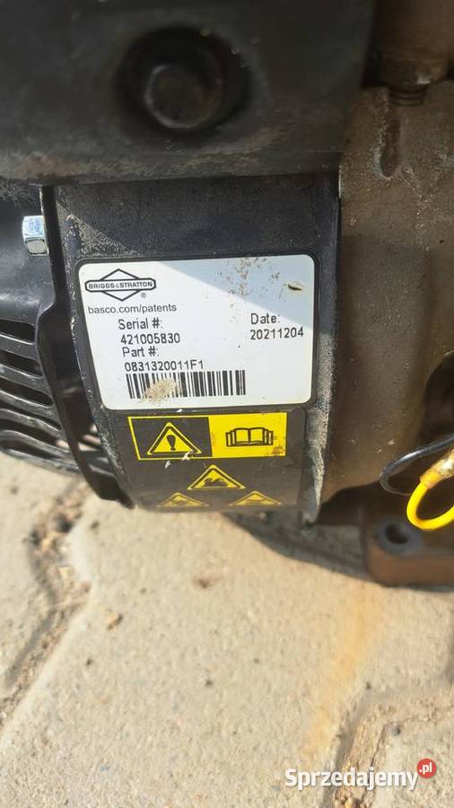 Silnik Briggs X550 wałek19mm śląskie Cieszyn